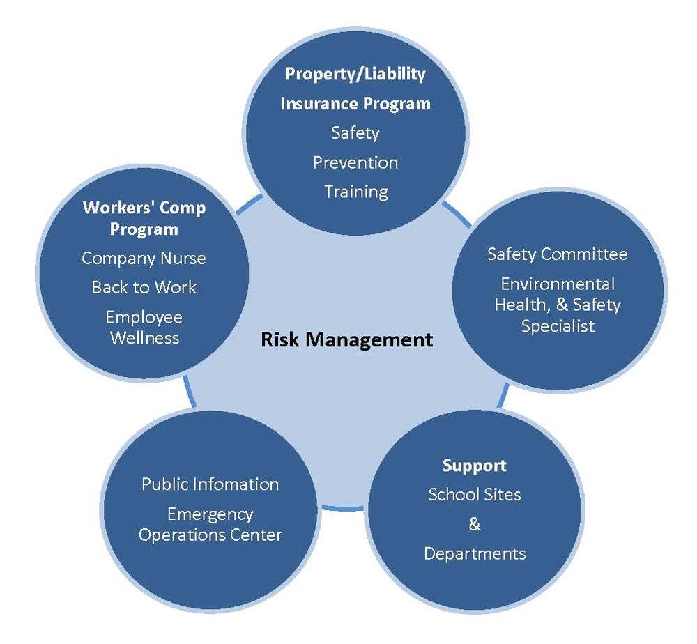 Risk management diagram