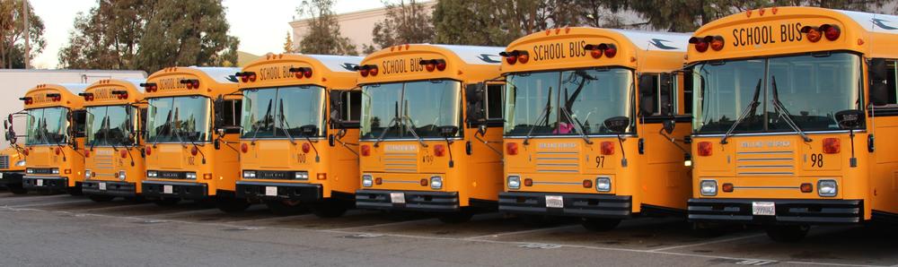 Row of parked school buses