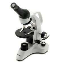 Microscope